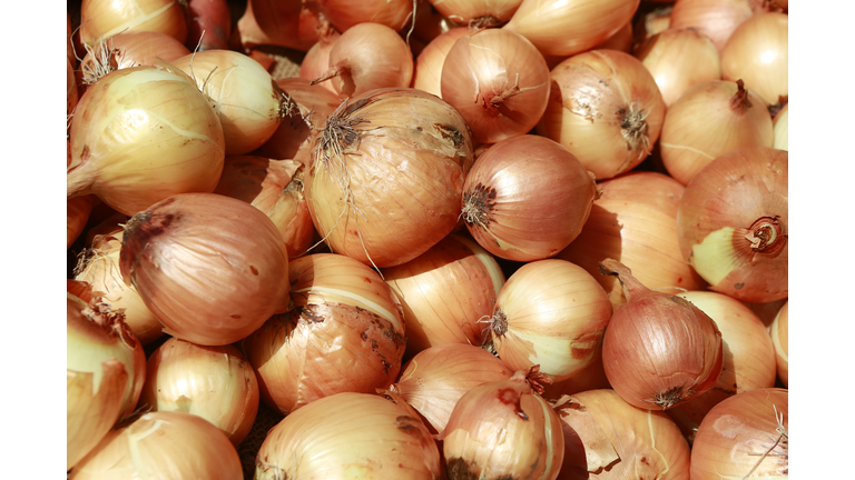 yellow onions for sale at the South Station produce market in Boston, Massachusetts