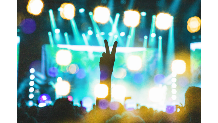 Concert Lights, Concert, Concert Crowd, Peace Sign