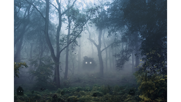A creepy, fantasy forest of trees, back lighted with spooky, glowing eyes of creatures in the undergrowth.