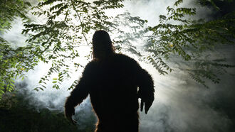 Sasquatch / Channeling Entities