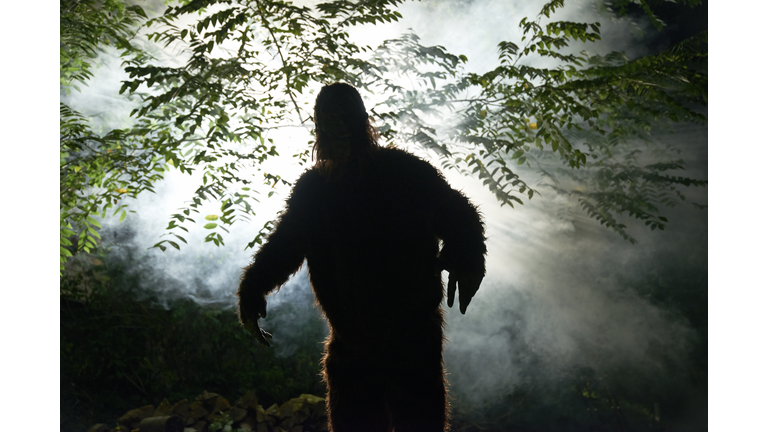 Sasquatch / Channeling Entities