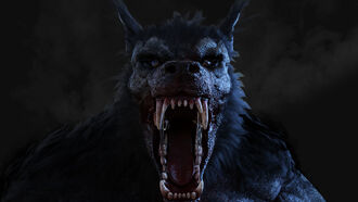 Vampires, Werewolves, & Open Lines