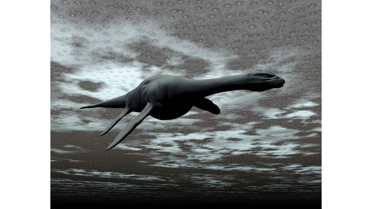 Tech & NSA  / Cryptozoological Mysteries