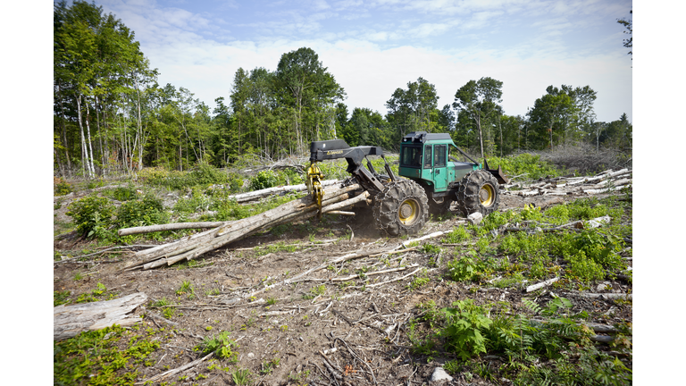 Logging equipment working