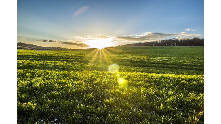 Sun rise at Potten End