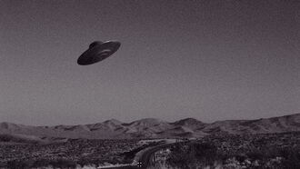 UFO Reports