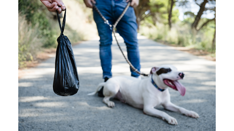 man and woman walking the dog