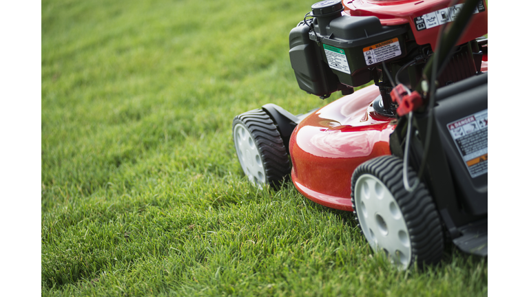 A young man mowing the grass on a property, tending the garden, using a petrol lawnmower.