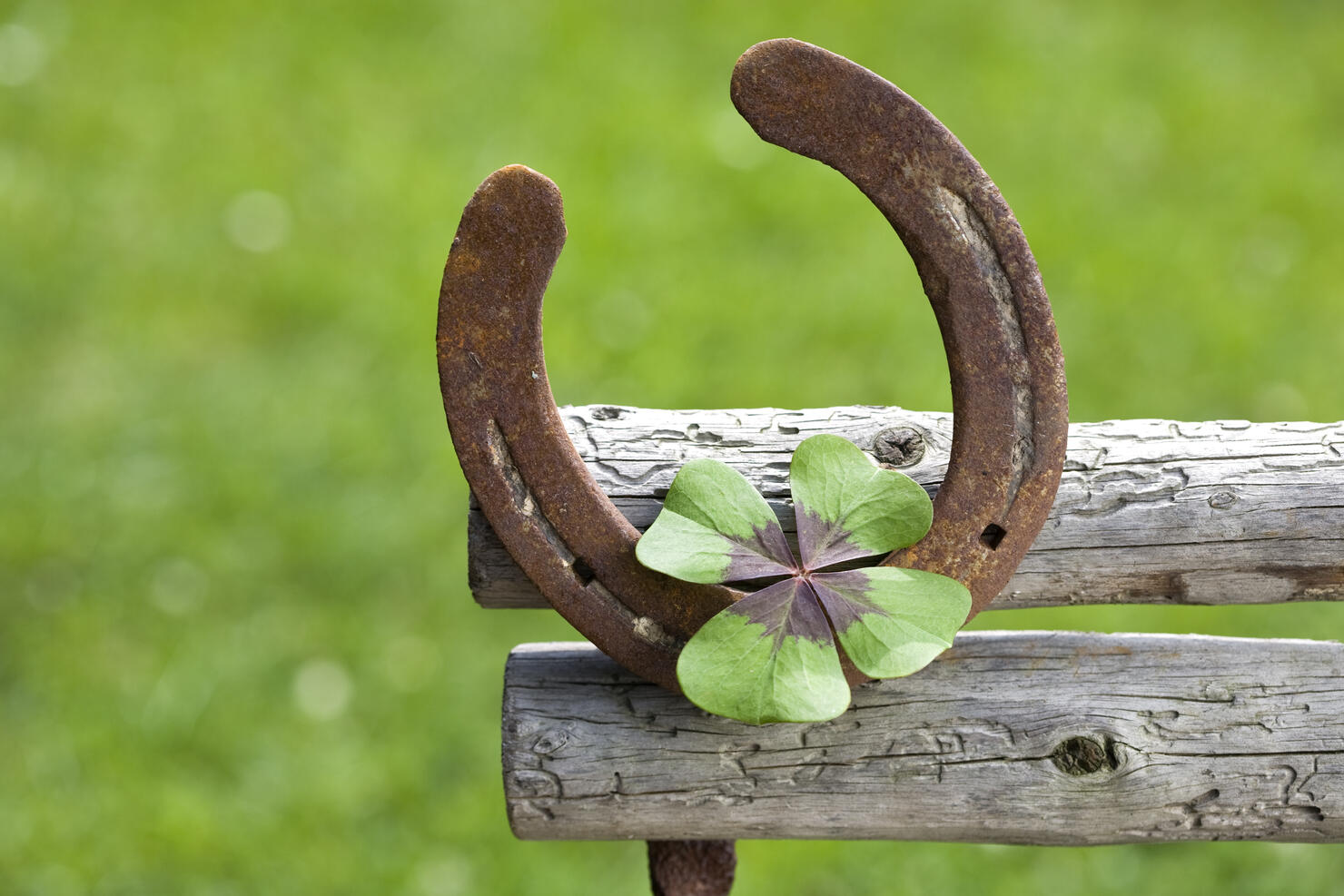 symbol of good luck