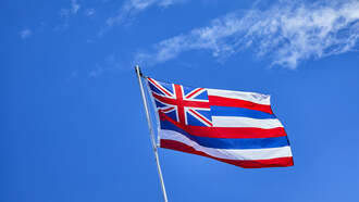 WATCH: Maui Heroes Risk Everything To Save Others