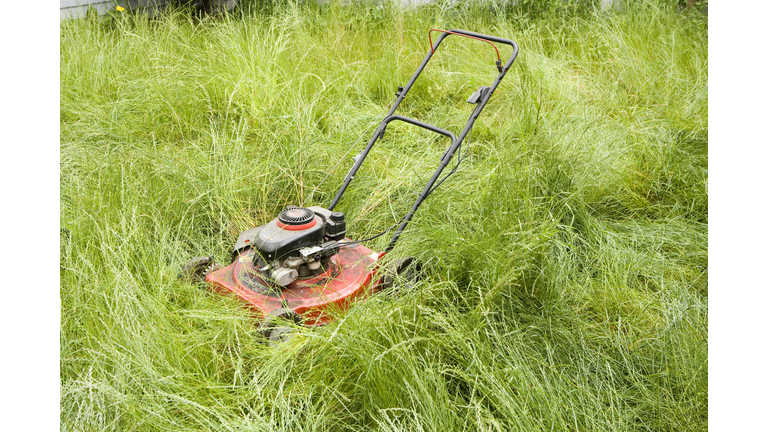 Lawn mower in long grass