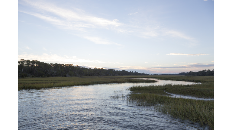 Georgia Coast / Lowcountry