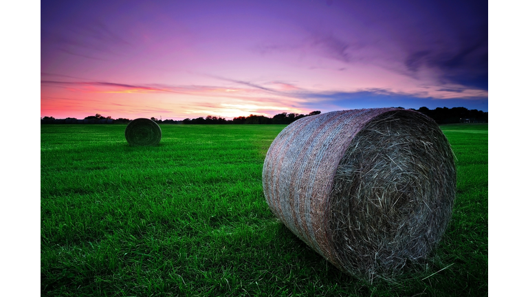 Hay roll in field, Maryland, USA