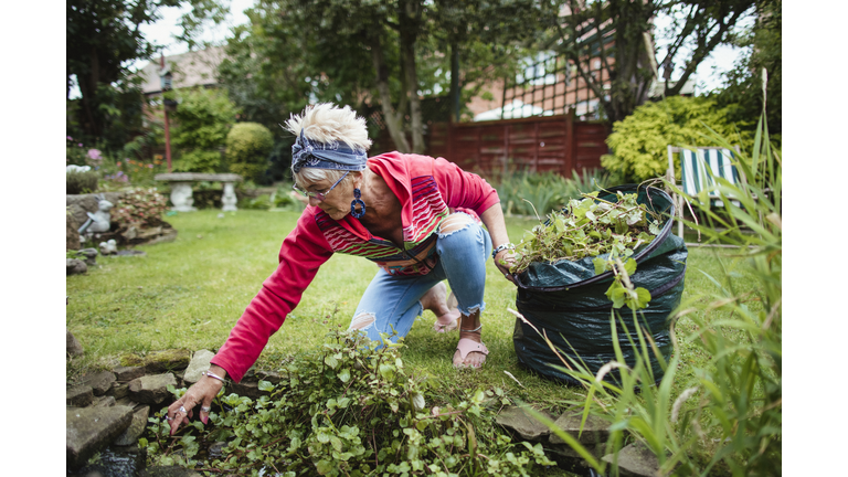 Garden Chores