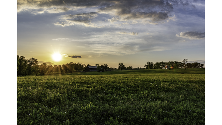 Kentucky horse farm landscape