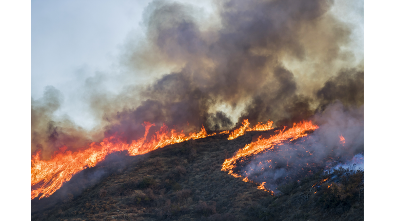 Hillside on Fire with Bright Flames and Black Smoke during California Woolsey Fire