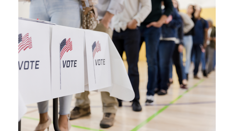 Low angle view of people lined up to vote