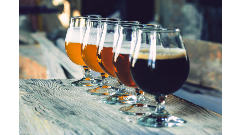 Glasses of different kinds of beer on wooden background