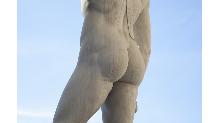 Section of Michelangelo's David in Florence