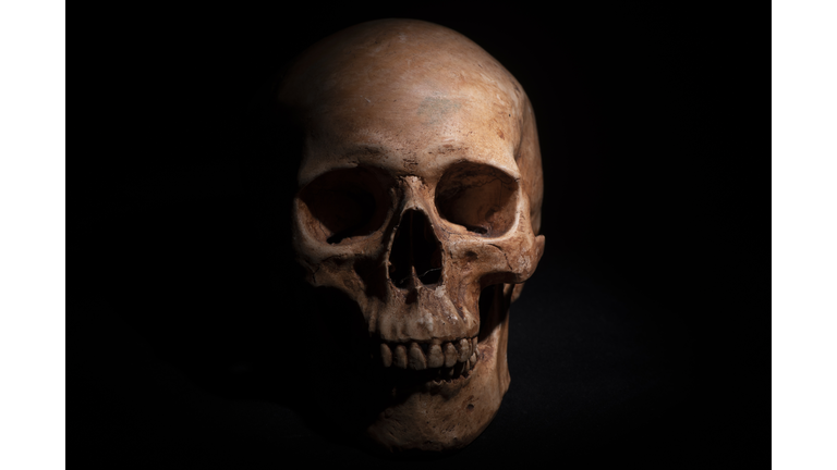 Close-Up Of Human Skull Against Black Background