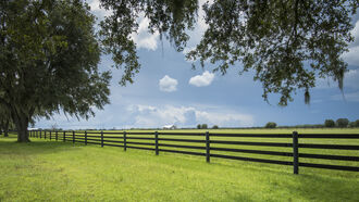 Self Sufficiency & Sovereign Lifestyle