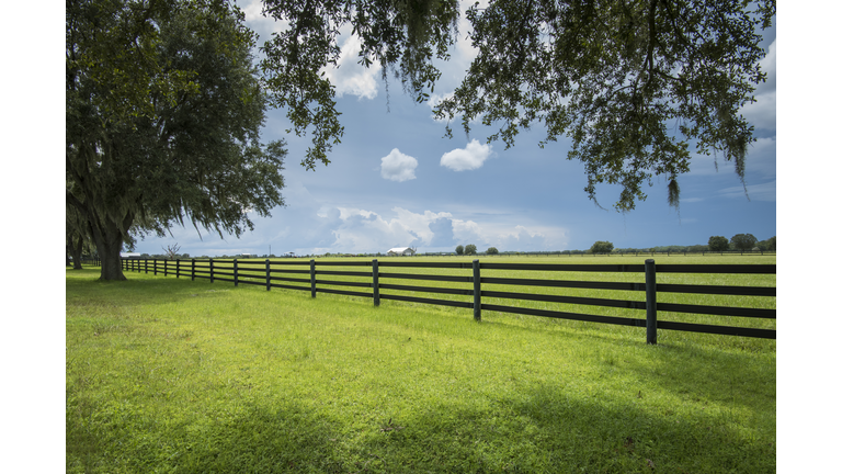 Self Sufficiency & Sovereign Lifestyle