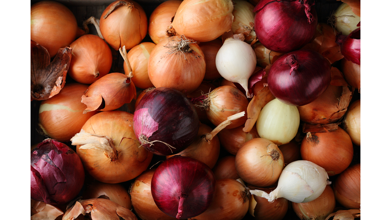 Group of onions top view