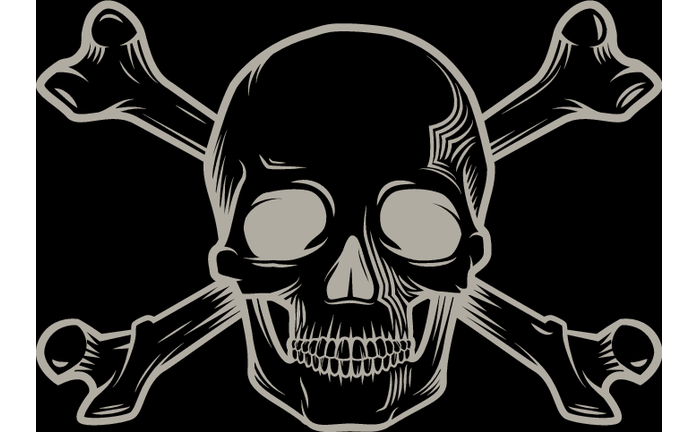 The History of Skull & Bones