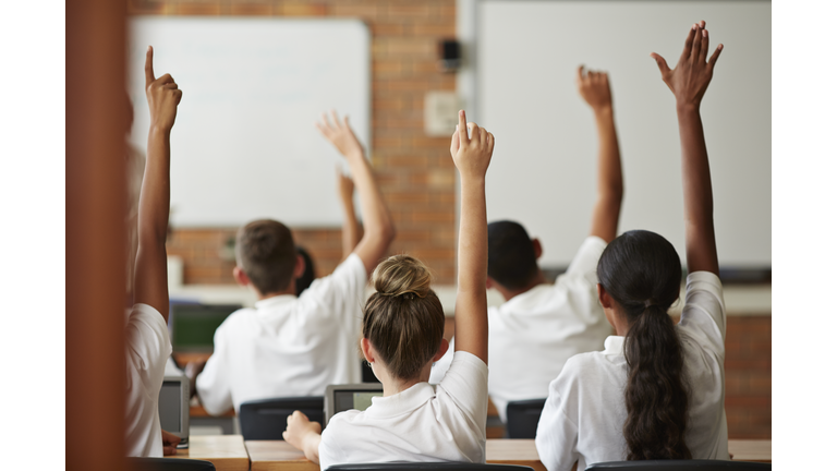 School students with raised hands, back view