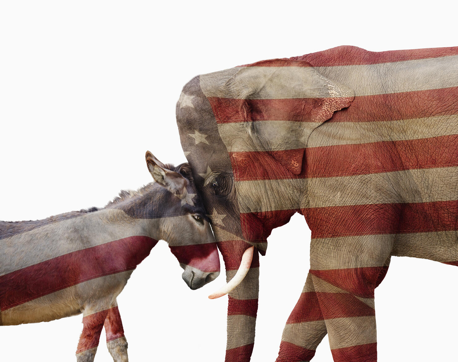 Partisan Political Donkey And Elephant