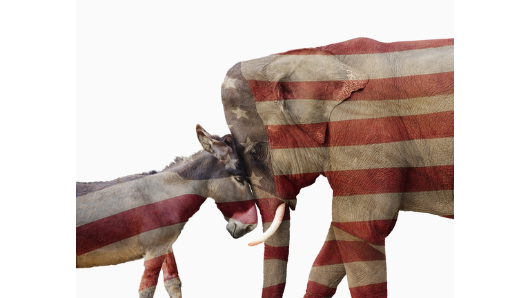 Partisan Political Donkey And Elephant