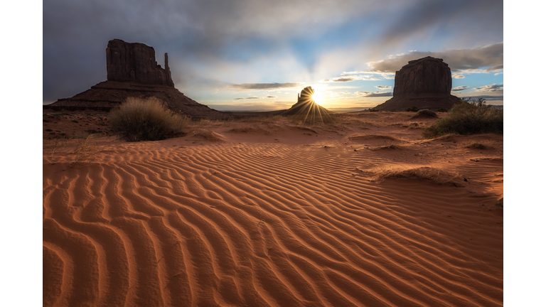 Imperiled Animals / Navajo Rangers