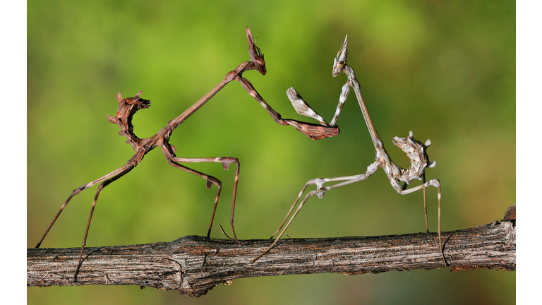 Bugs, Scary Moments & the Future