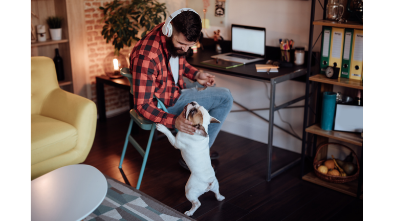 Freelancer working from home and playing with his dog
