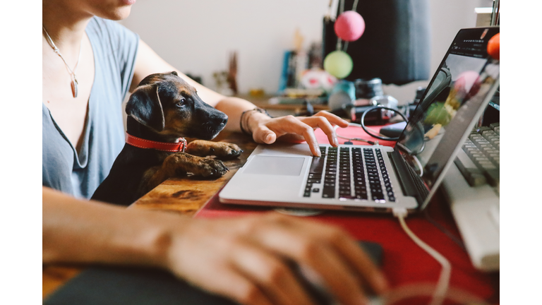 Young woman working at home with her pet puppy