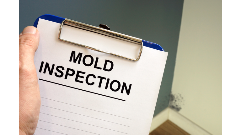 Documents about mold inspection with clipboard.