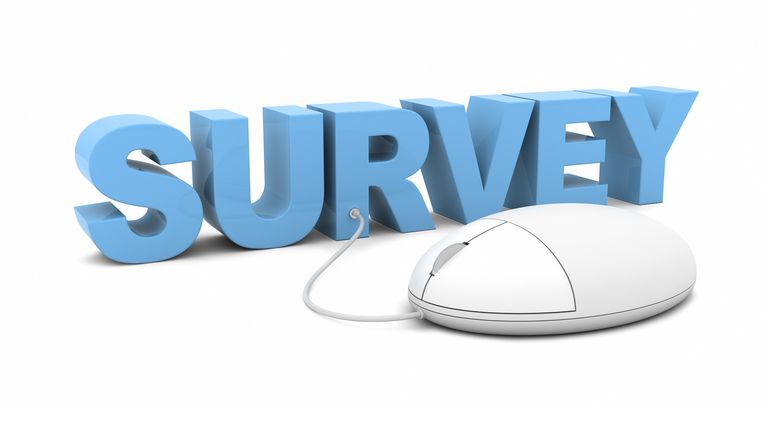 Online Survey