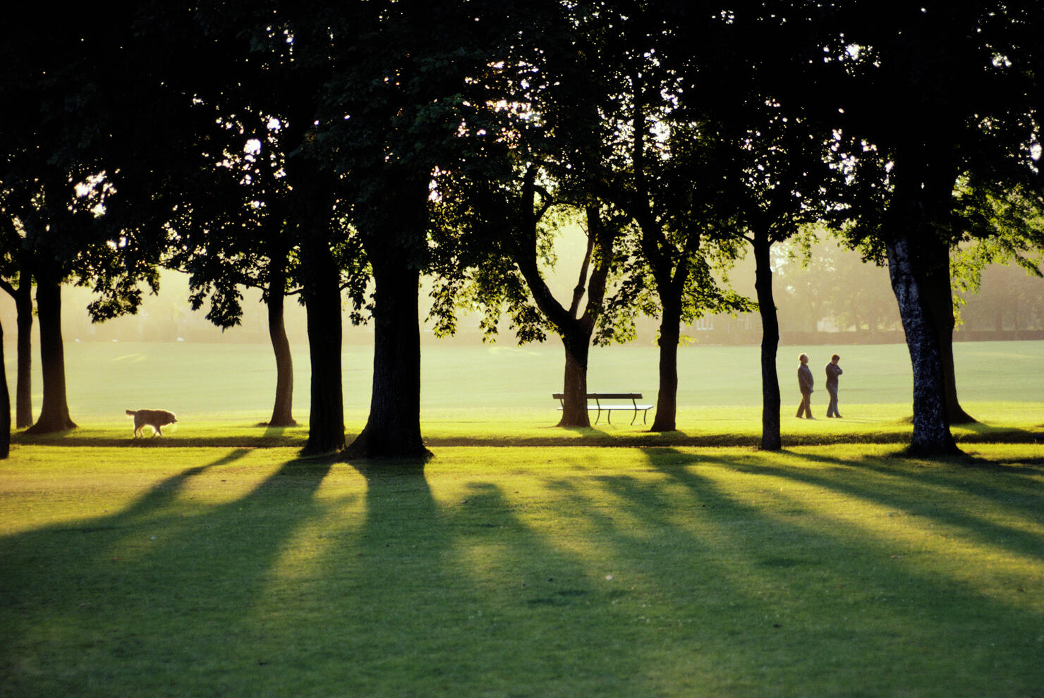 Mature couple walking in park