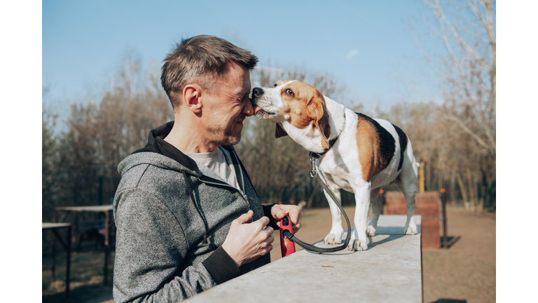 Man and beagle