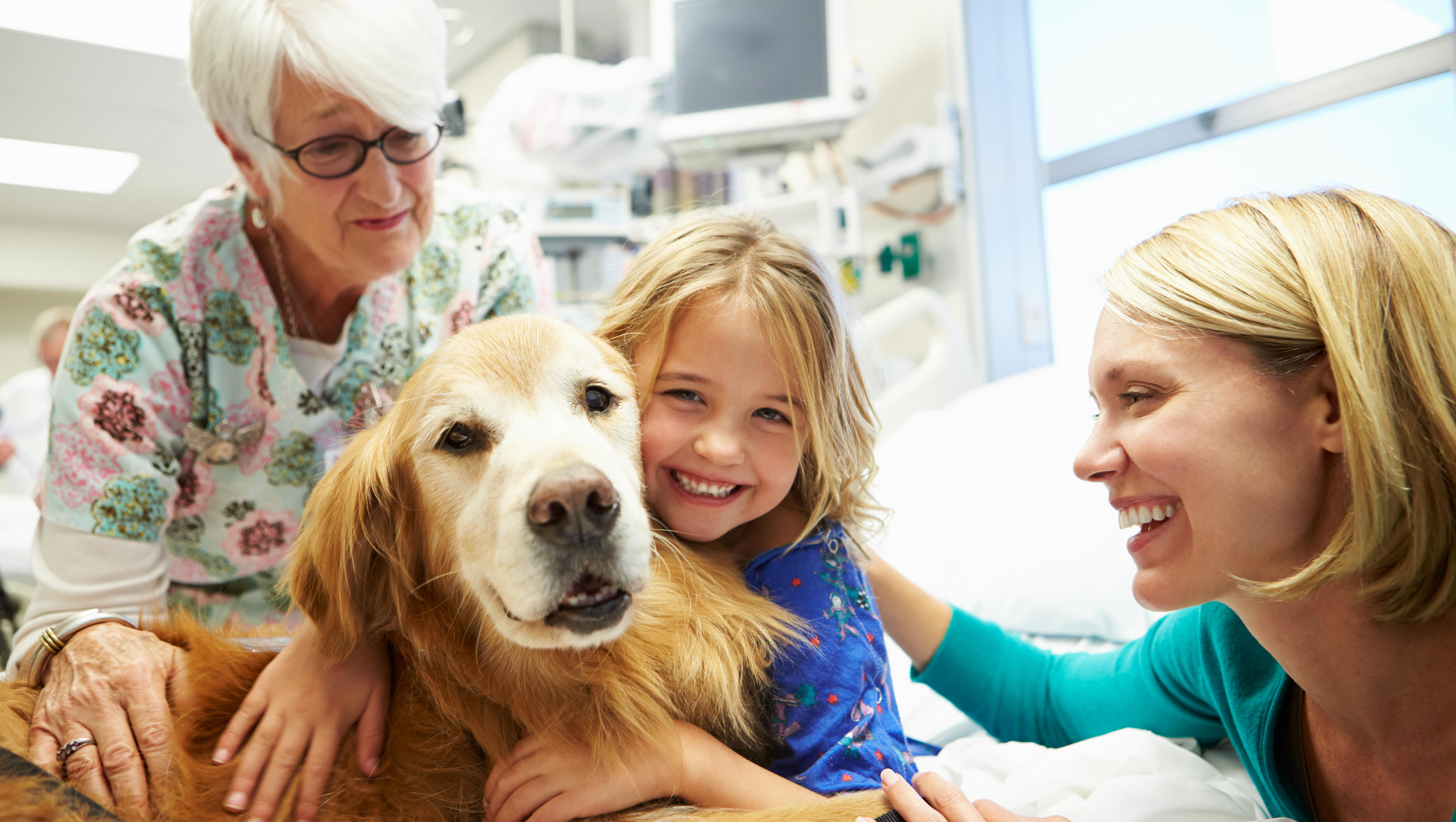 Study: Therapy Dogs Are Miracle Workers