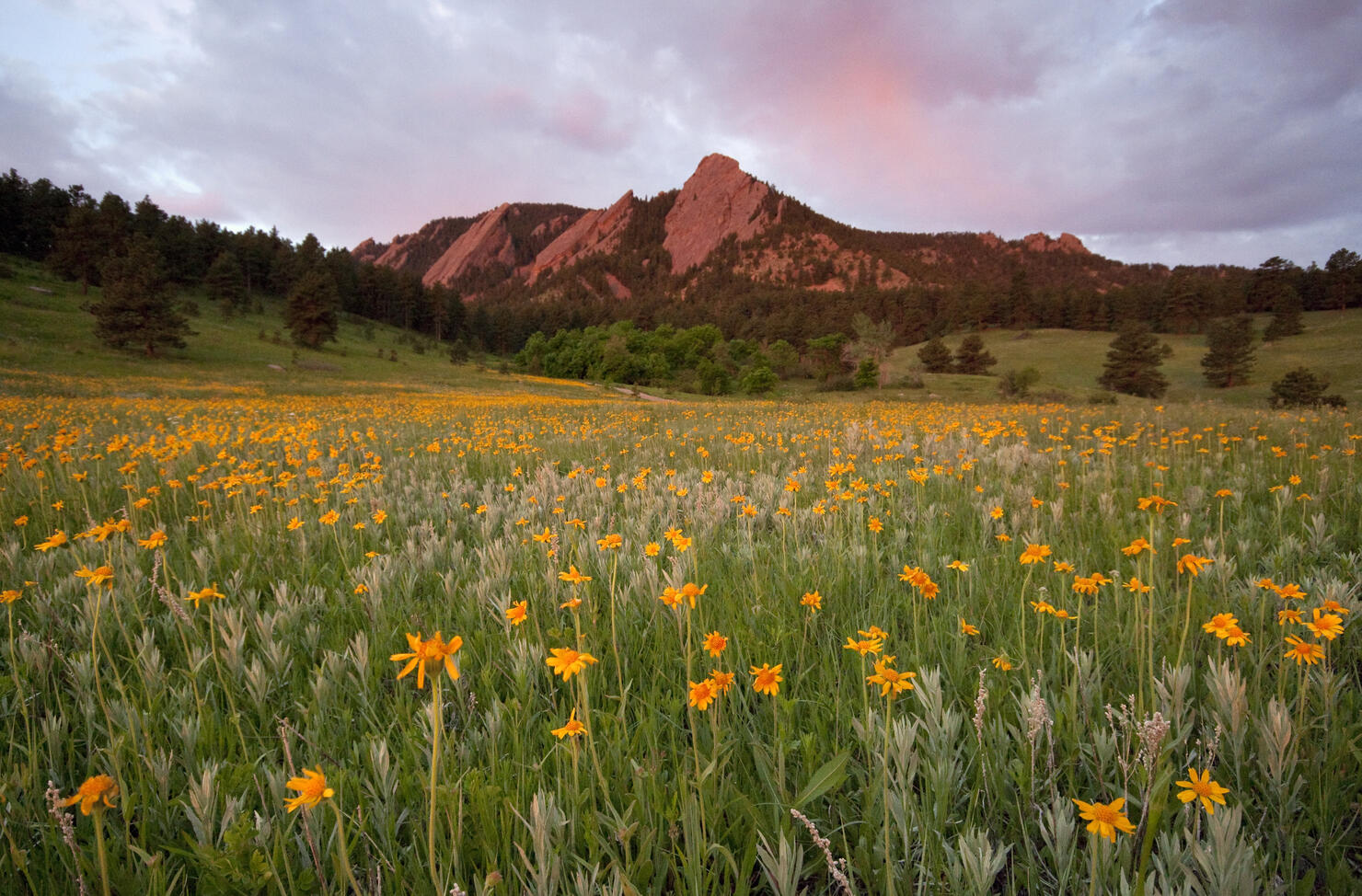 Chautauqua park, Boulder, Colorado