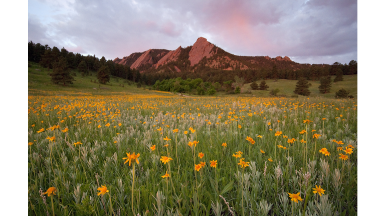 Chautauqua park, Boulder, Colorado