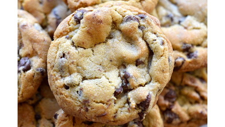 Chocolate Chip Cookie