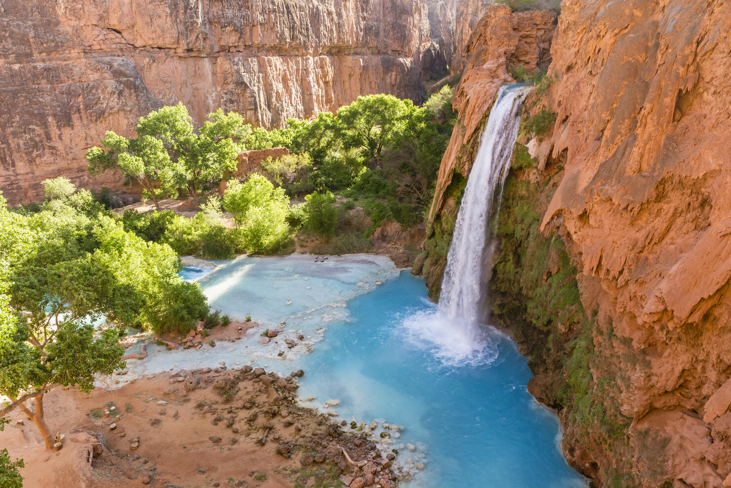 Havasu Falls Turquoise Canyon Oasis