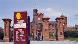 Quirky Contributions: The Strangest Items Ever Offered to the Smithsonian