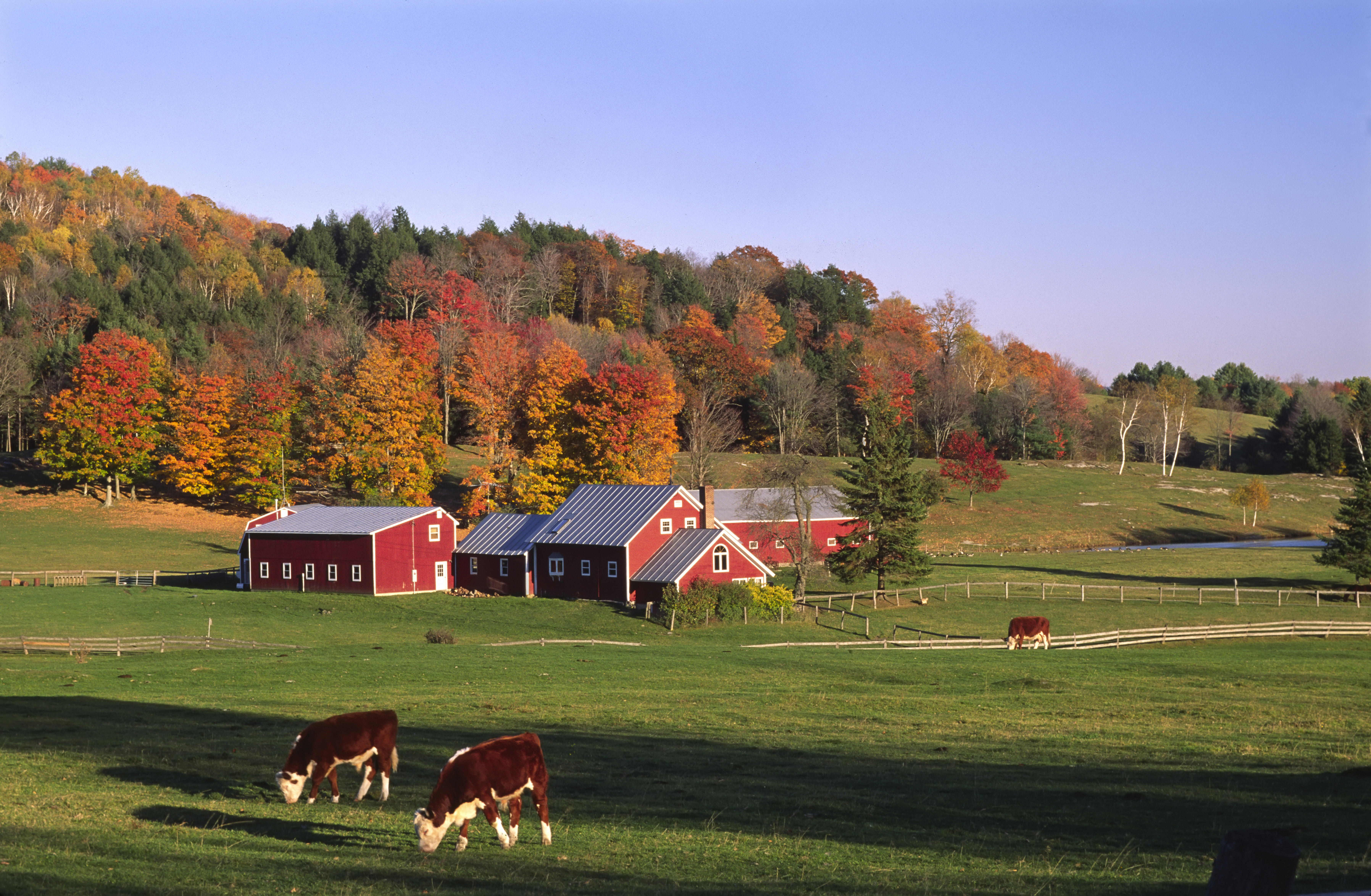 S farm. Вермонт штат ранчо. Америка ранчо ферма трактор. Ферма в США. Фермерский ранчо в Канаде.