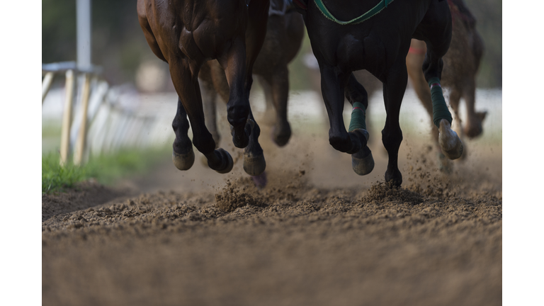 Horse Racing detail, hooves on all weather track