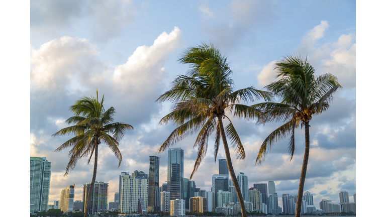 Miami skyline in golden light