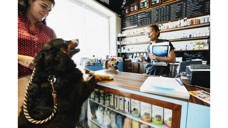 Pet store owner greeting dog and owner at counter in pet store