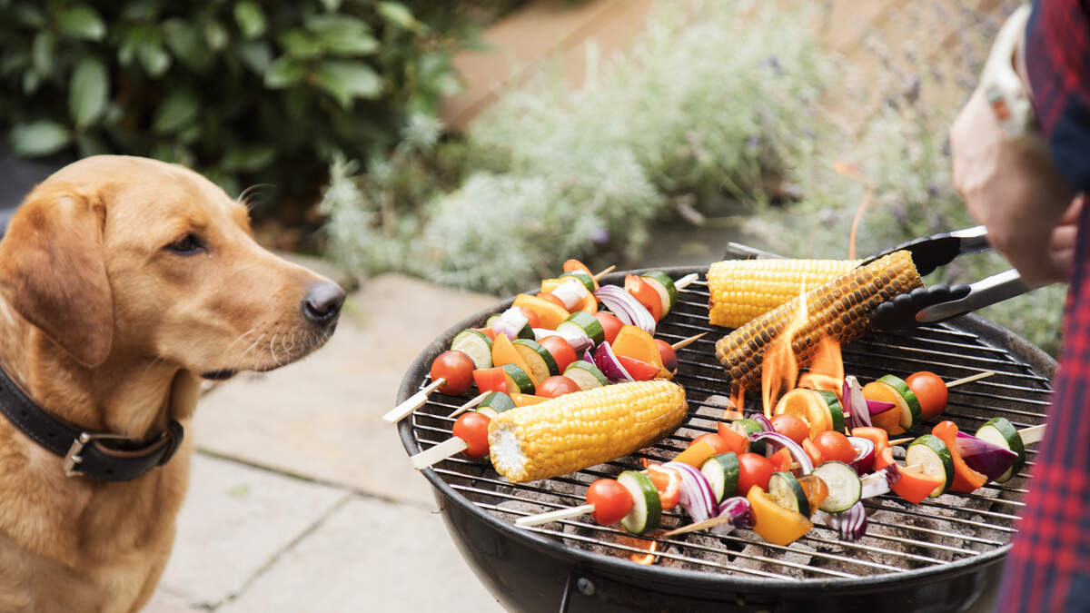 Happy National Barbecue Day! | 100.3 The Peak | Chris Davis